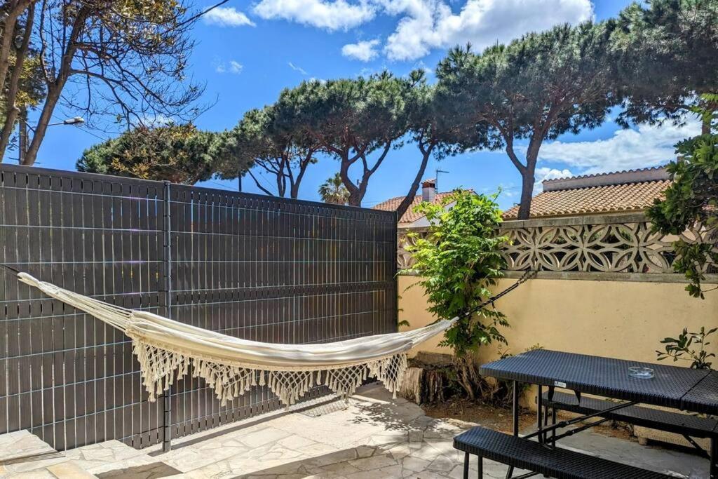 Smoothie Canet-en-Roussillon