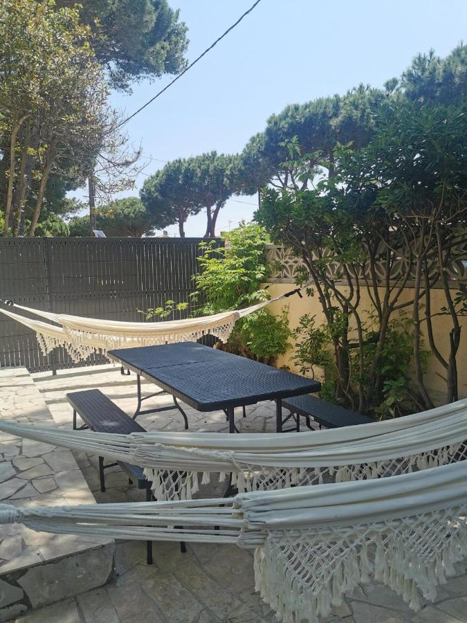 Smoothie Canet-en-Roussillon